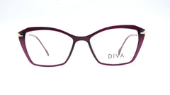 Women Chic Eyeglasses